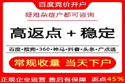 SEM代运营经典案例解析与启示